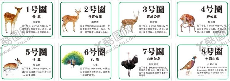 编号：65309009120111273067【酷图网】源文件下载-动物养殖