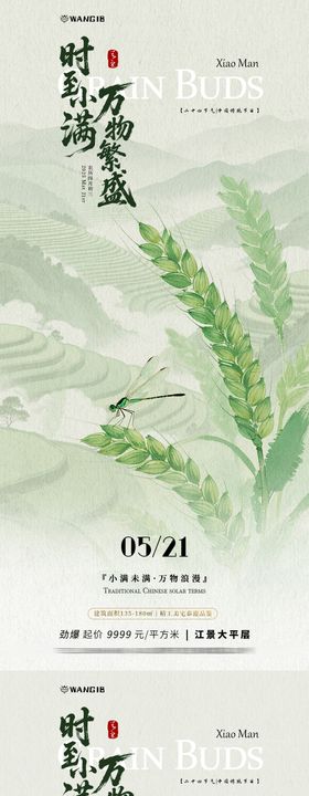 小满插画海报
