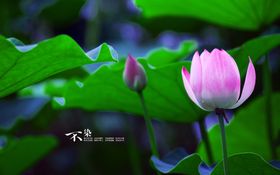 唯美走廊风景图片