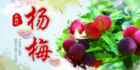 杨梅海报
