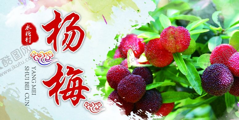 编号：25862604222006431780【酷图网】源文件下载-杨梅海报