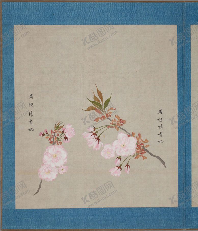 编号：99143403281450295001【酷图网】源文件下载-樱花