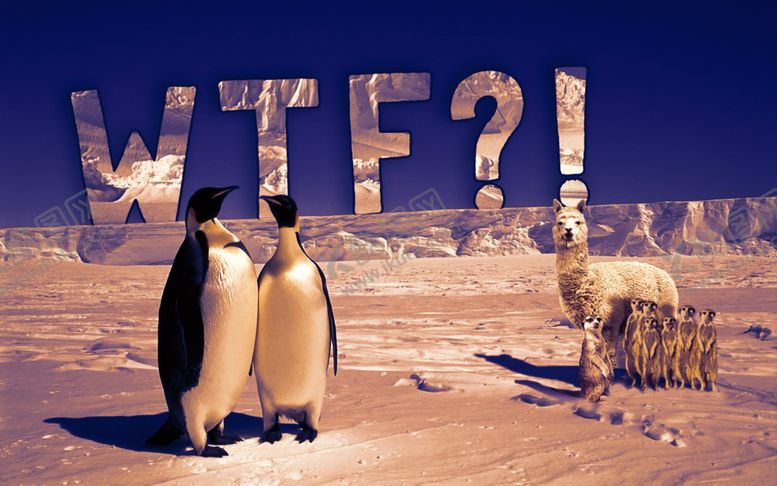 编号：42651810290634374247【酷图网】源文件下载-企鹅羊驼野生动物背景