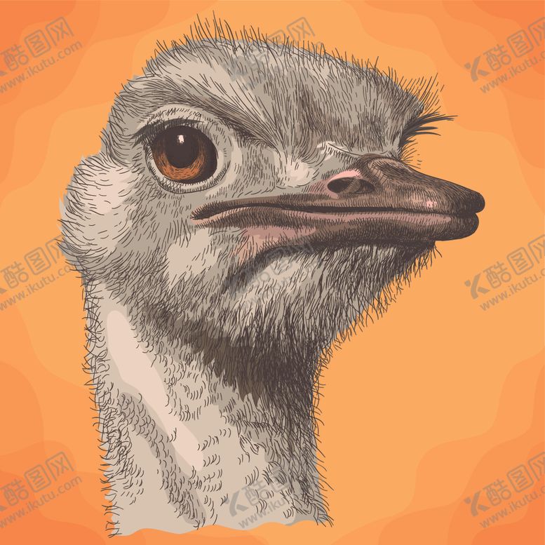 编号：98375510050929474195【酷图网】源文件下载-动物油画