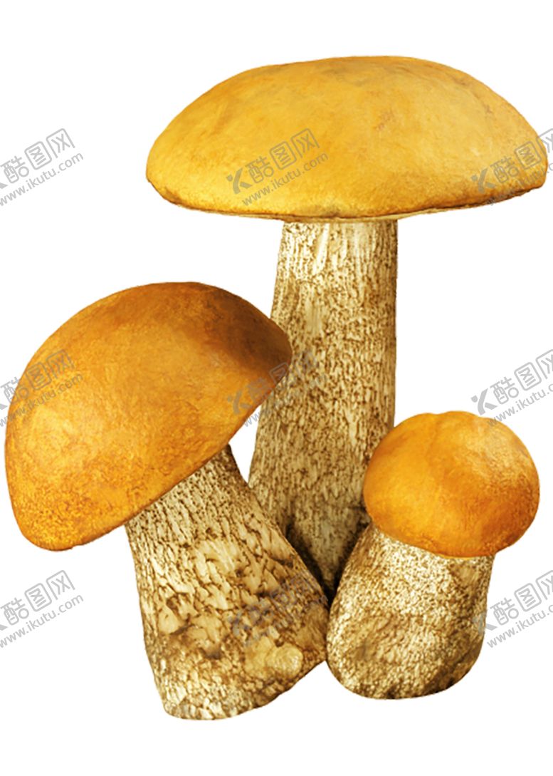 编号：97271009292034111532【酷图网】源文件下载-绿色装饰