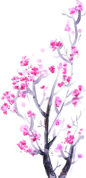 花树