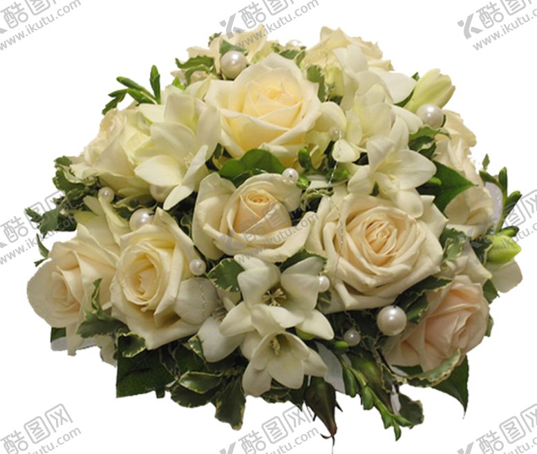 编号：44269010031705358006【酷图网】源文件下载-鲜花