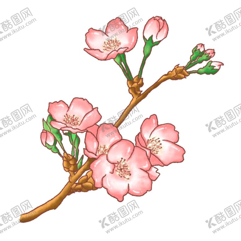 编号：22560501140543423133【酷图网】源文件下载-桃花矢量素材