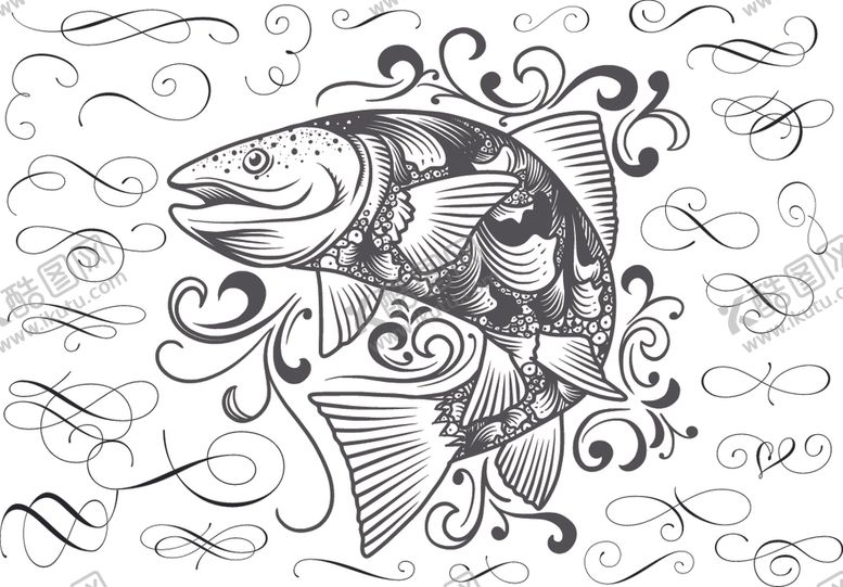 编号：46488210302048324045【酷图网】源文件下载-手绘素描鲤鱼