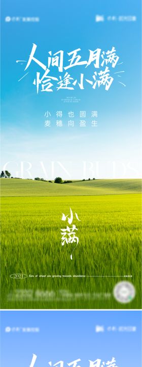 小满节气系列海报