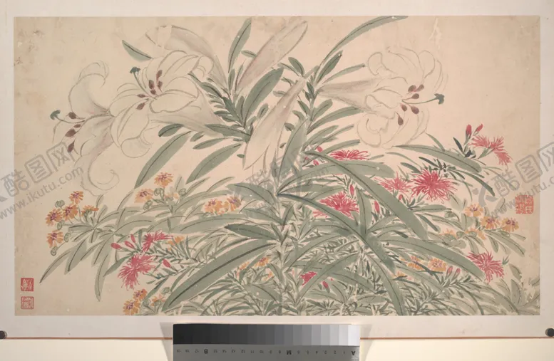 编号：49558006300422559317【酷图网】源文件下载-明代陈淳花卉花草绘画