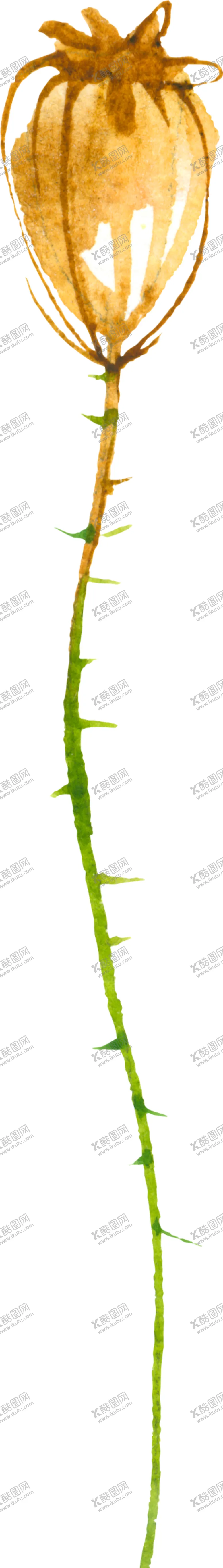 编号：98945005040133348604【酷图网】源文件下载-水彩手绘花卉花朵植物