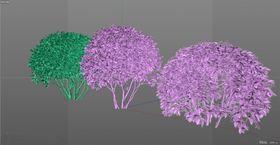 绿植c4d模型