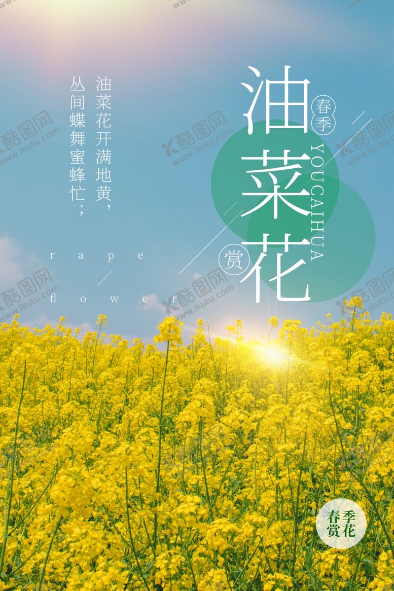 编号：87996710131636148048【酷图网】源文件下载-油菜花