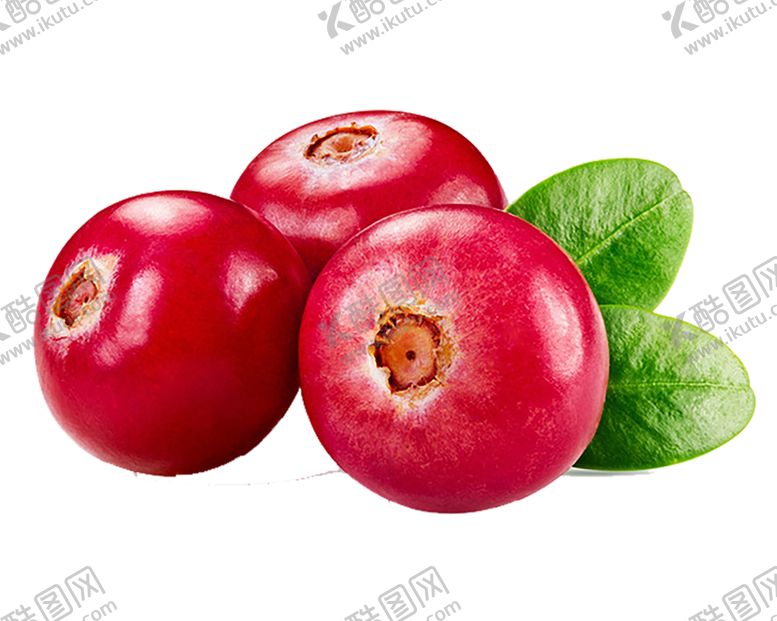 编号：79926310072212597506【酷图网】源文件下载-水果