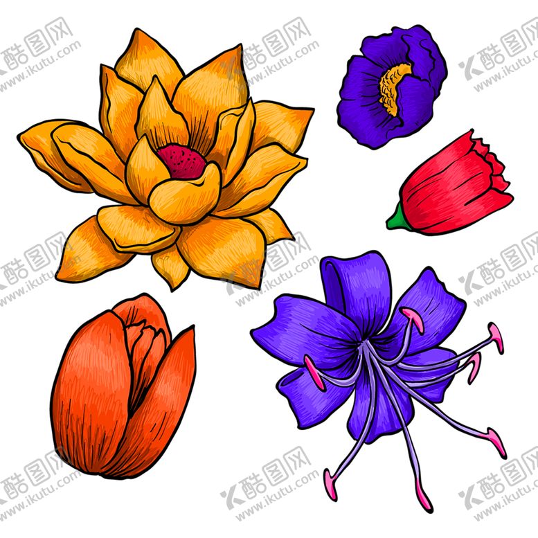 编号：68199209190549048646【酷图网】源文件下载-鲜花装饰