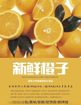 橙子海报
