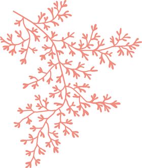 清新森系花枝