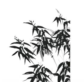 竹子PNG素材