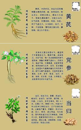 编号：06517809240607044562【酷图网】源文件下载-中药材金银花