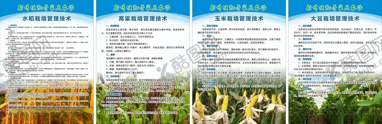 编号：45581702171941441198【酷图网】源文件下载-农作物种植技术