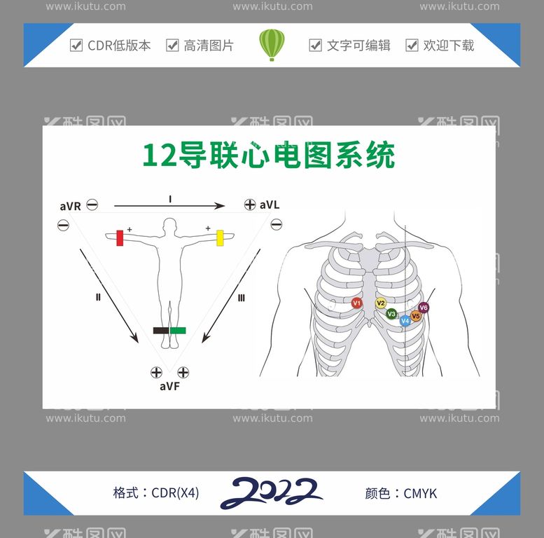 编号：52671410111307361350【酷图网】源文件下载-12导联心电图系统