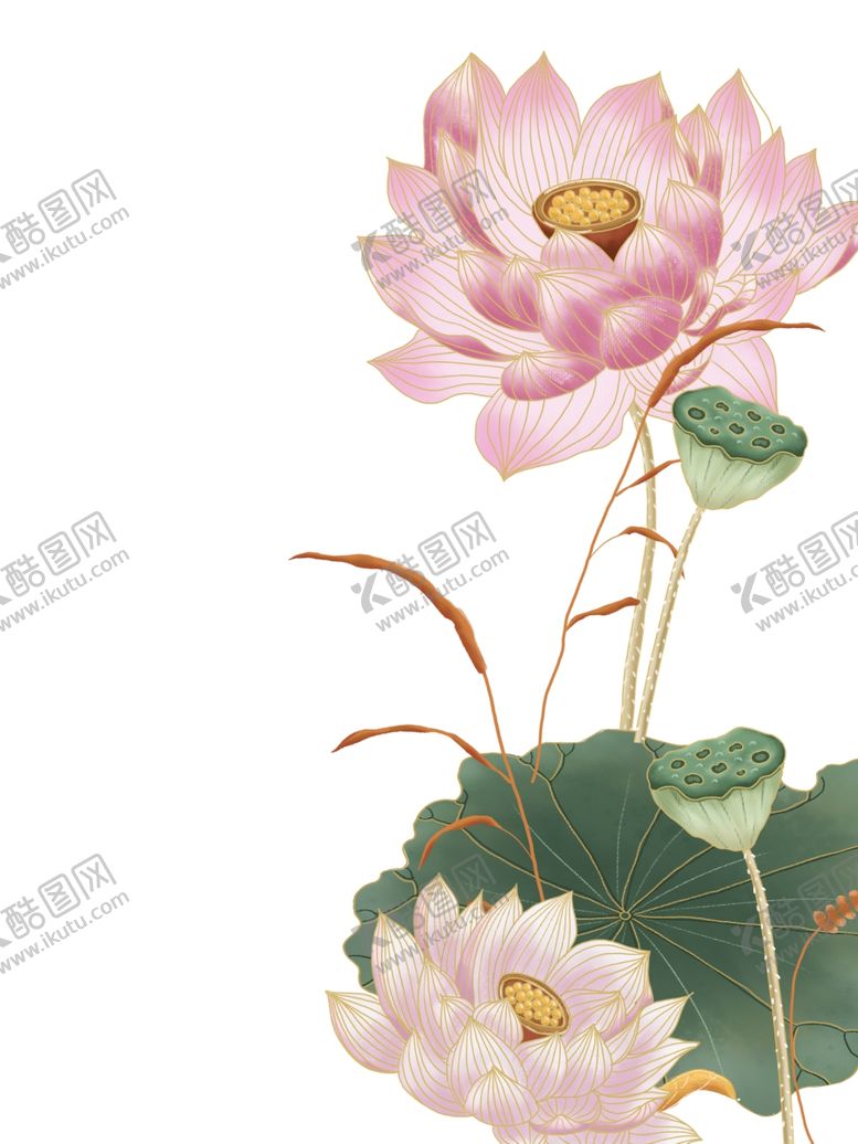 编号：24447406181224284091【酷图网】源文件下载-荷花