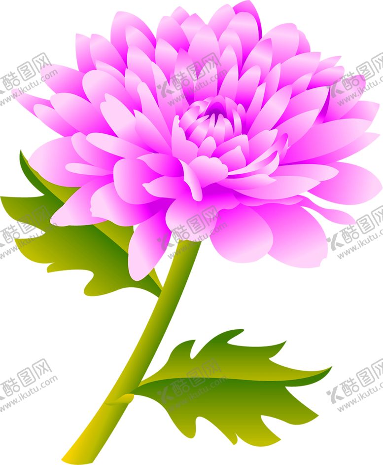 编号：37773905160339311974【酷图网】源文件下载-花素材