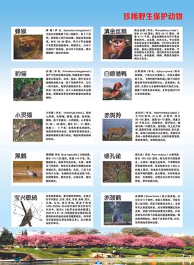 珍稀野生保护动物