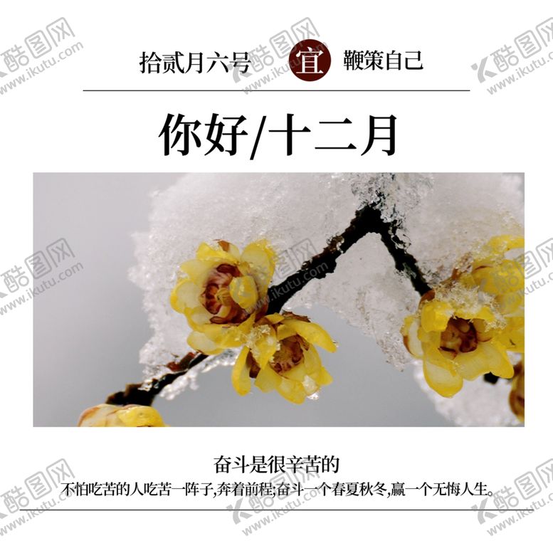 编号：50474907040601497711【酷图网】源文件下载-你好12月