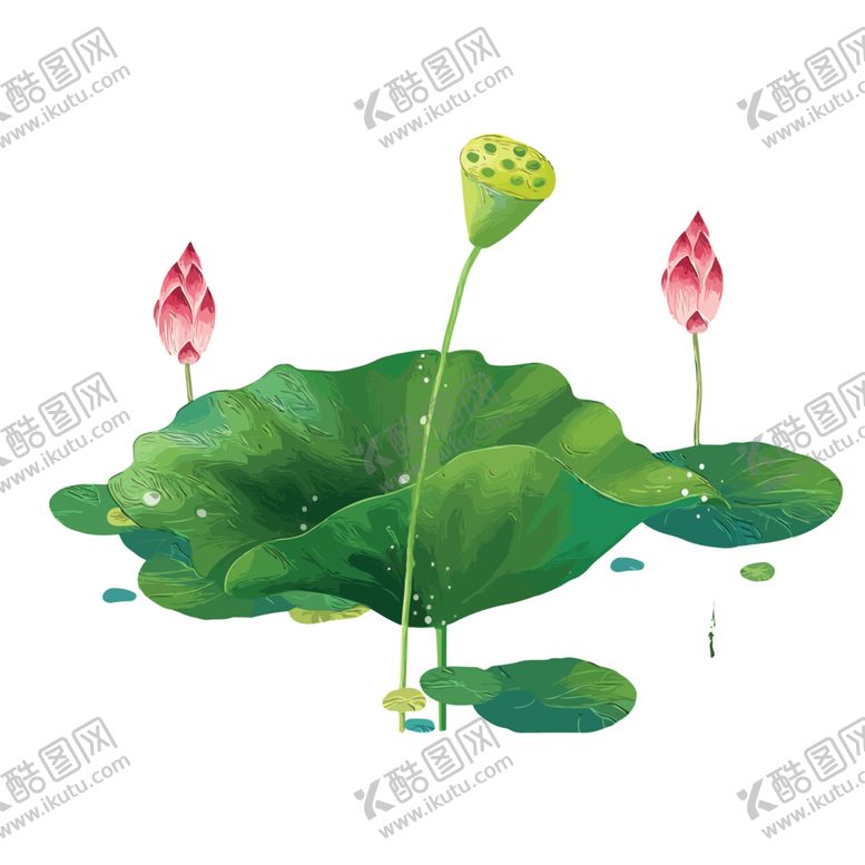 编号：74564705122114007757【酷图网】源文件下载-荷花元素