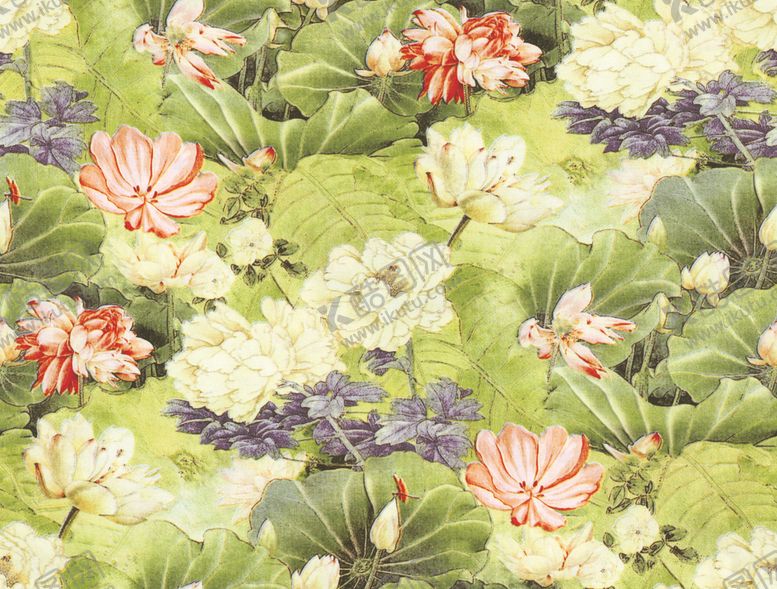 编号：61257709251343355427【酷图网】源文件下载-荷叶