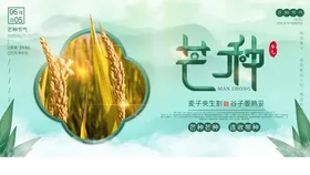 芒种背景素材稻田稻子宣传单