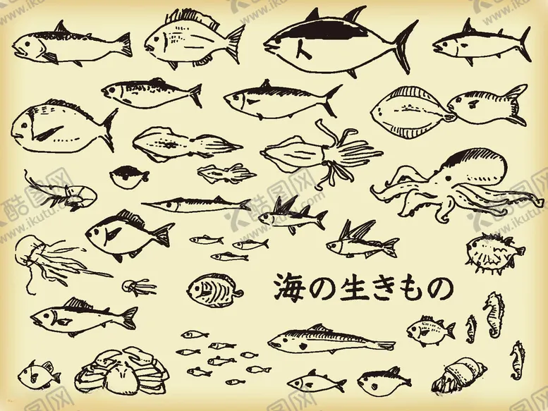 编号：16112506291801488252【酷图网】源文件下载-卡通海洋生物图片