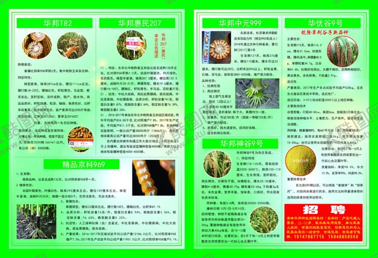 编号：54581112061139232854【酷图网】源文件下载-化肥