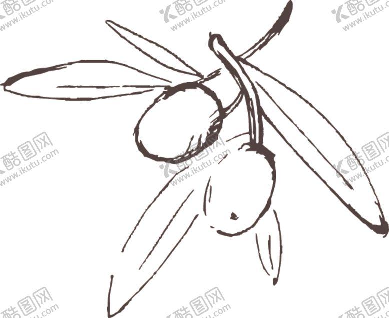 编号：99384207141434543298【酷图网】源文件下载-素描鲜花