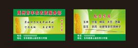 绿色名片