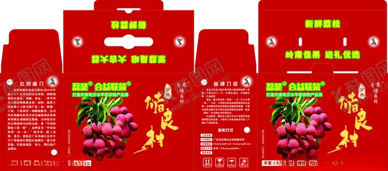 编号：65227504101704056230【酷图网】源文件下载-荔枝包装