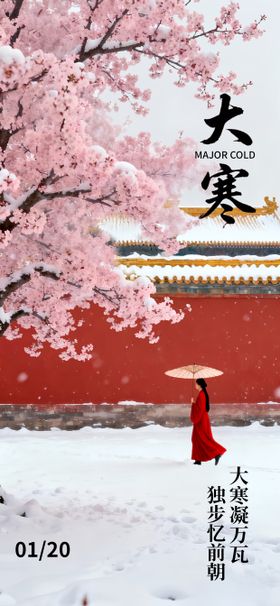 大寒节气梅花国风唯美海报