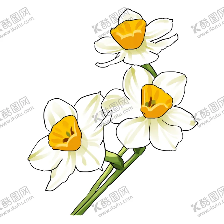编号：61333506241228572410【酷图网】源文件下载-手绘水仙花