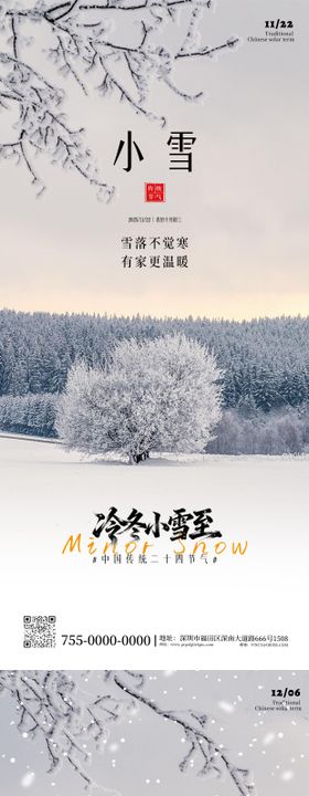 二十四节气小雪大雪海报