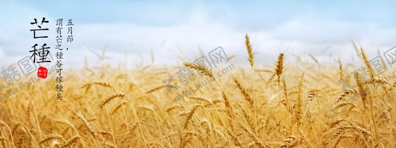 编号：64677809290412158830【酷图网】源文件下载-芒种广告