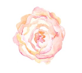 手绘花朵
