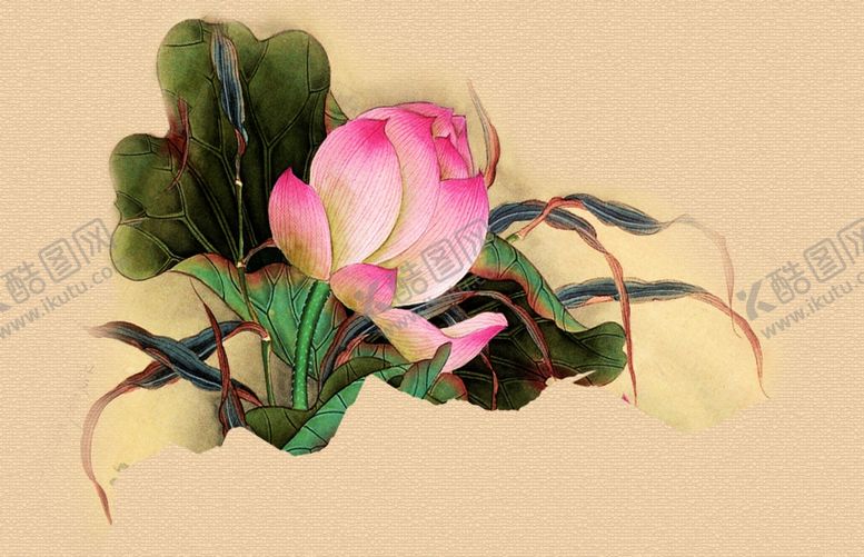 编号：79120410141105271485【酷图网】源文件下载-水墨荷花