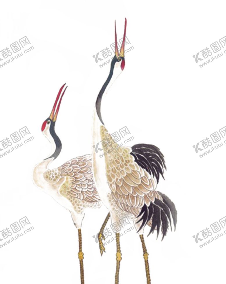 编号：36553807081206246436【酷图网】源文件下载-仙鹤