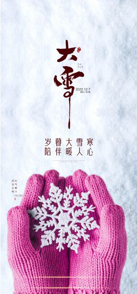 中国传统节气唯美大雪海报