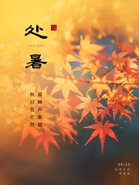 处暑二十四节气海报传统枫叶