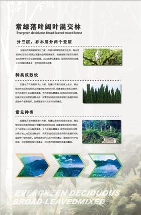 植物背景展板