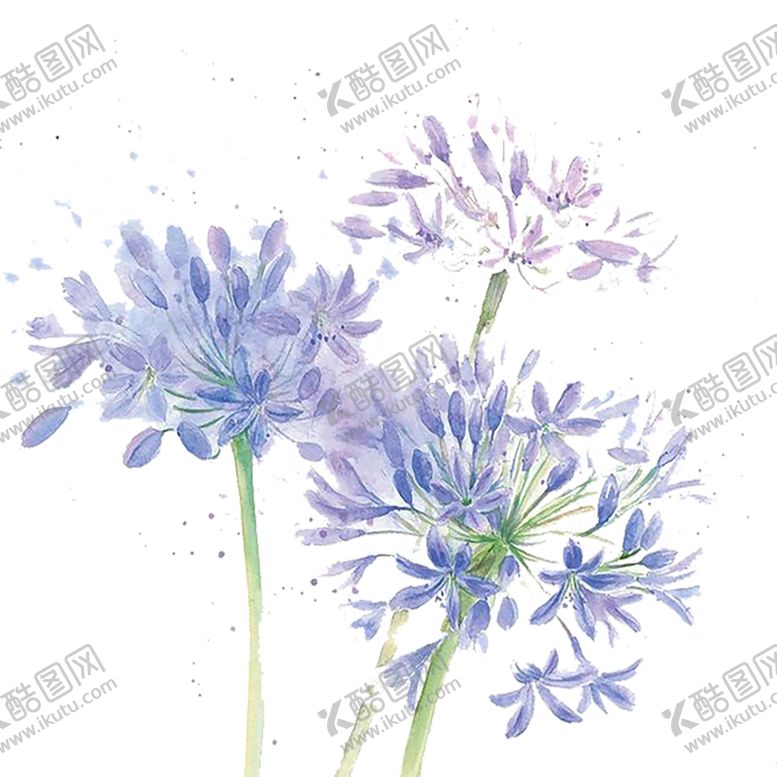 编号：80184010311711409956【酷图网】源文件下载-唯美花束png