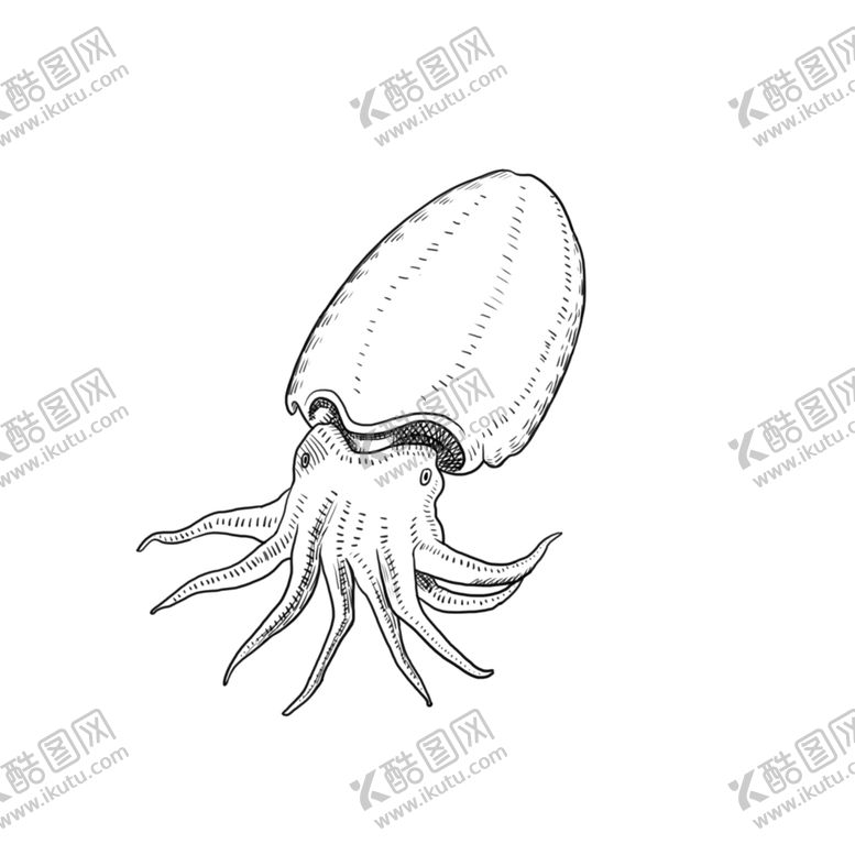 编号：79716210201803238452【酷图网】源文件下载-手绘食物线描食物食物线稿